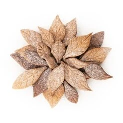 Silikomart Emporte-pièce Voila Cookie - Feuilles 24 X 15 Cm -Silikomart Cuisine Boutique 561004 2 2 Emporte piece Voila cookie Feuilles 24 x 15 cm Silikomart