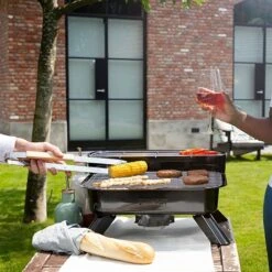 Princess Barbecue Polyvalent 2000 W 01.112252.01.001 -Silikomart Cuisine Boutique 740041 3 2 Barbecue polyvalent 2000 W 01 112252 01 001 Princess